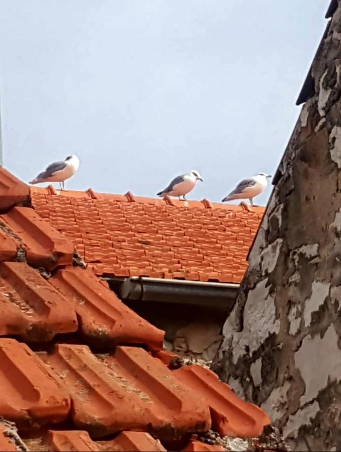 ستاري غراد Hvar Heart Heritage Apartment المظهر الخارجي الصورة